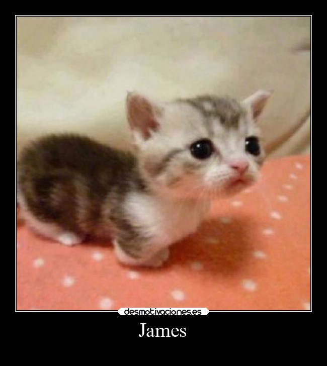 James - 