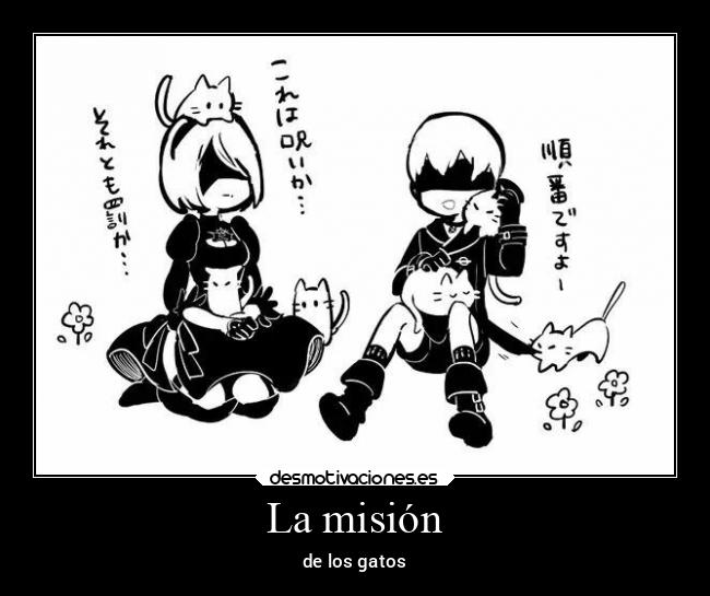La misión - de los gatos