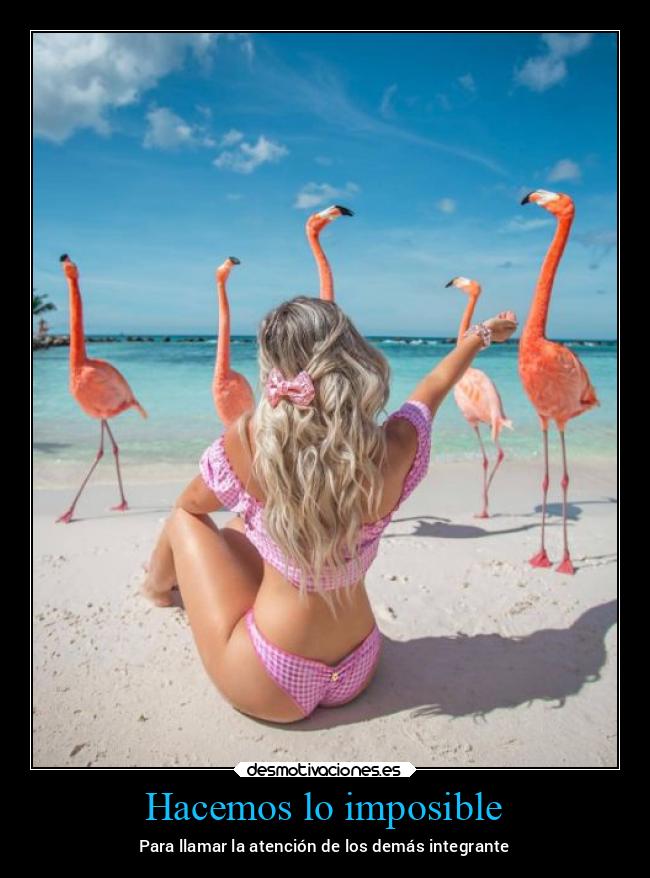 carteles imposible familia naturaleza verano hacer integrar flamencos vacaciones playa desmoverano2021 desmotivaciones