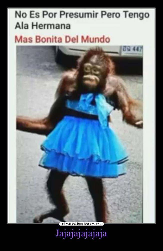 Jajajajajajaja - 