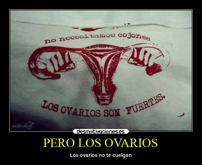 carteles memes mundo meme feministas tumama tontos desmotivaciones