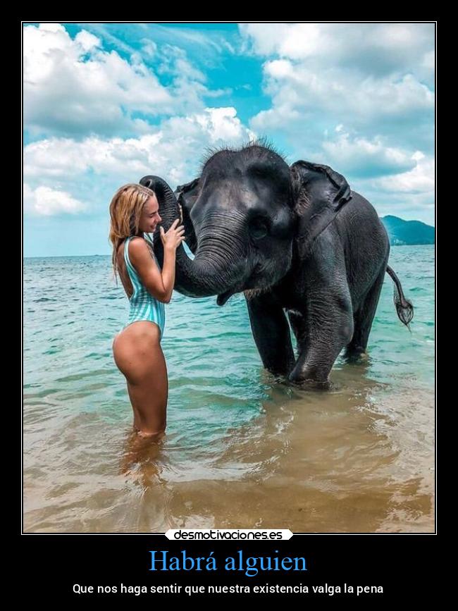 carteles naturaleza animales sentimientos deseos ayuda verano elefante vacaciones desmoverano2021 desmotivaciones