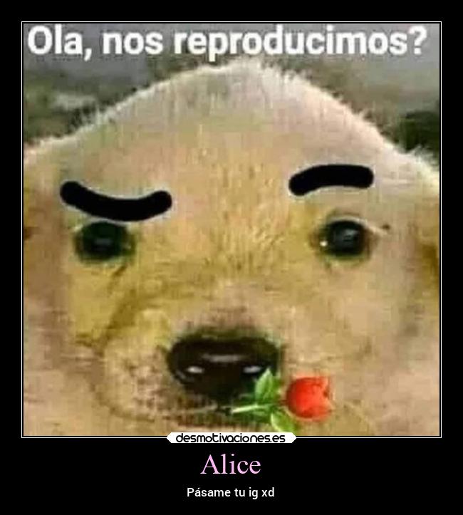 Alice -