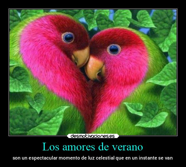 Los amores de verano - 