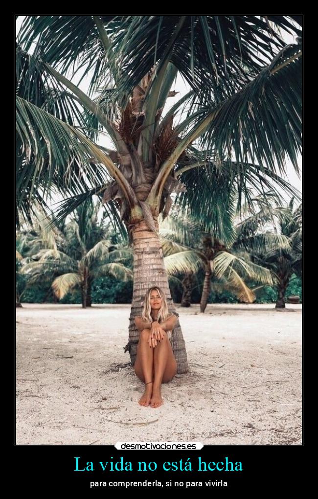 La vida no está hecha - 