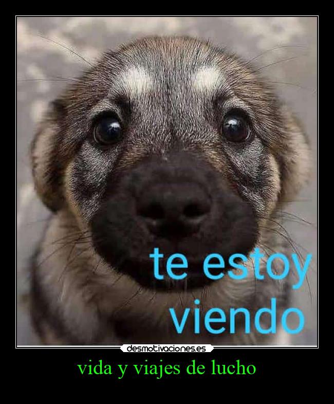 vida y viajes de lucho - 