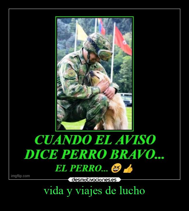 carteles vida animales desmotivaciones