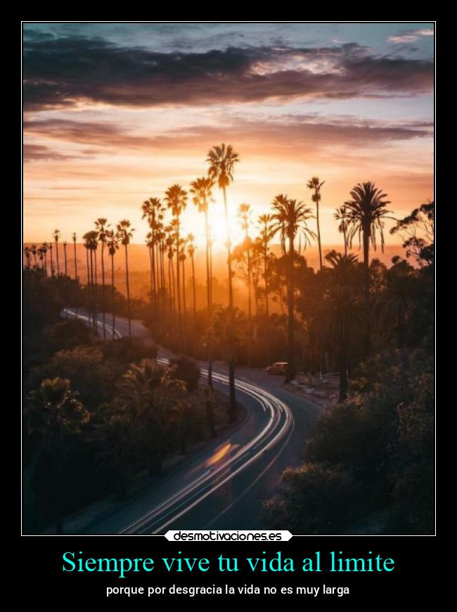 Siempre vive tu vida al limite - 