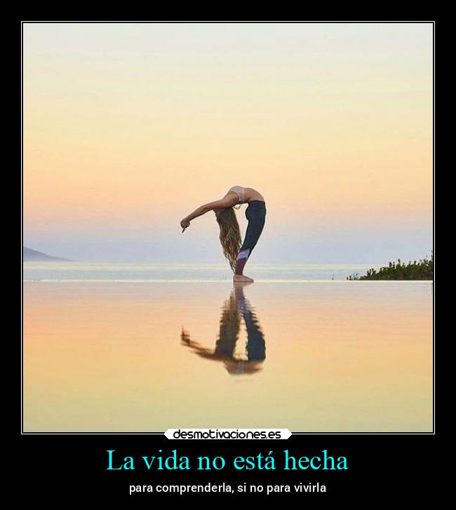 La vida no está hecha - 
