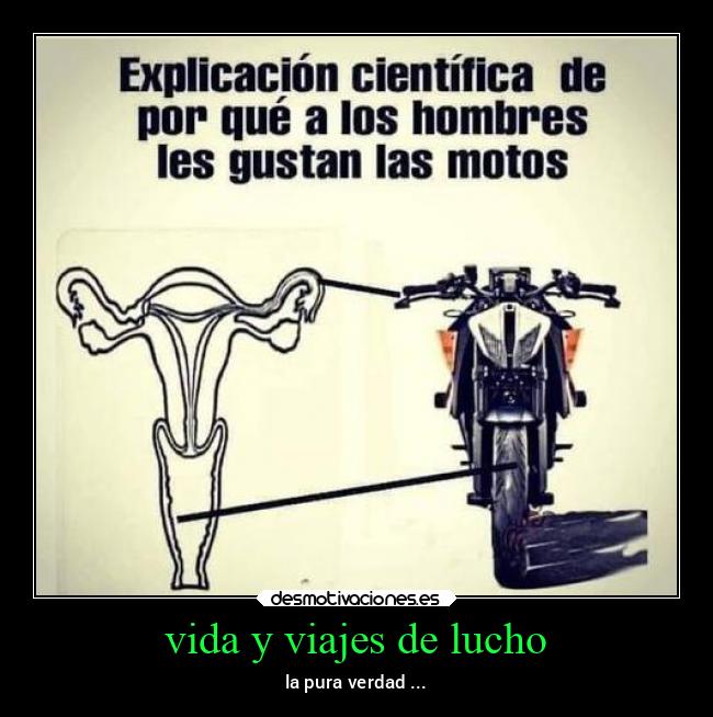 vida y viajes de lucho -