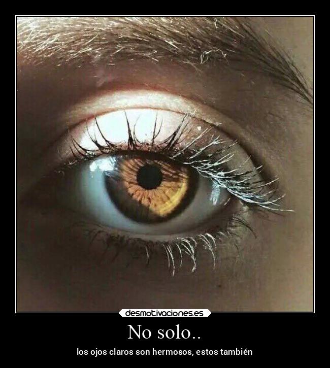 No solo.. - los ojos claros son hermosos, estos también