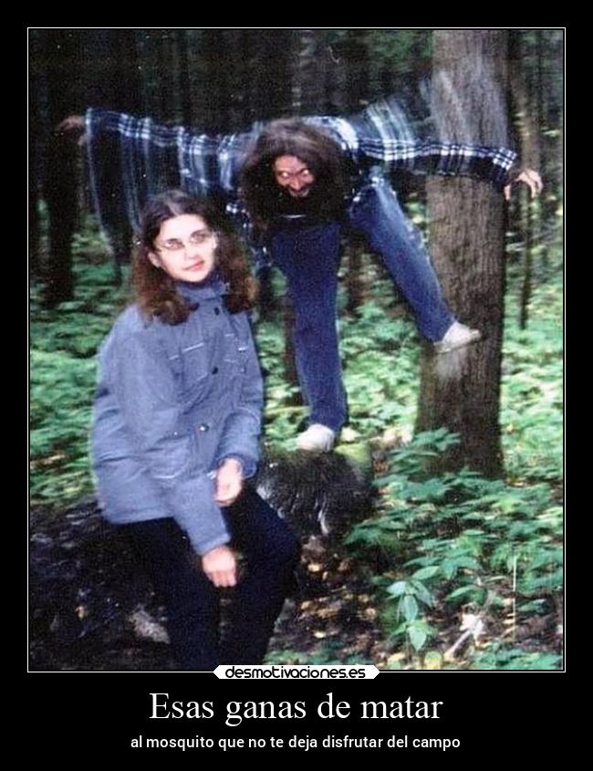Esas ganas de matar - al mosquito que no te deja disfrutar del campo