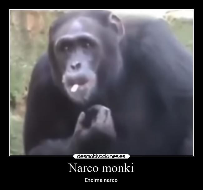 carteles alegria monki simplemente desmotivaciones