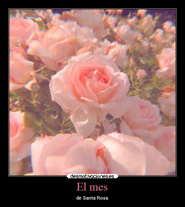 carteles alegria santa rosa lima peru agosto uwu desmotivaciones