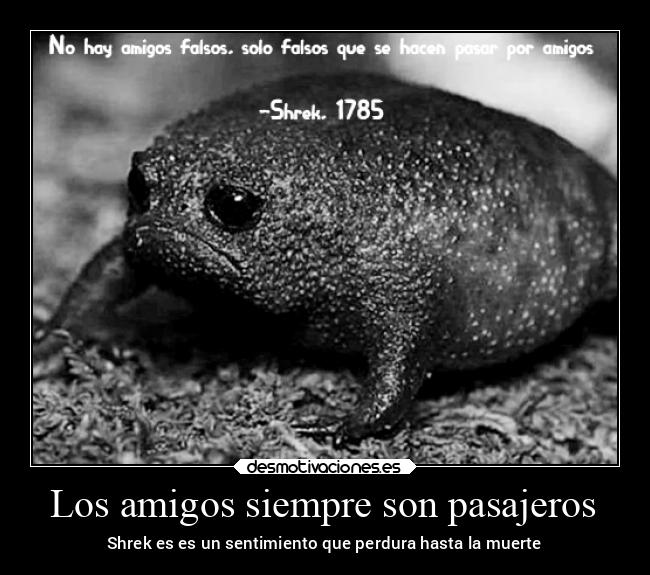 Los amigos siempre son pasajeros - 