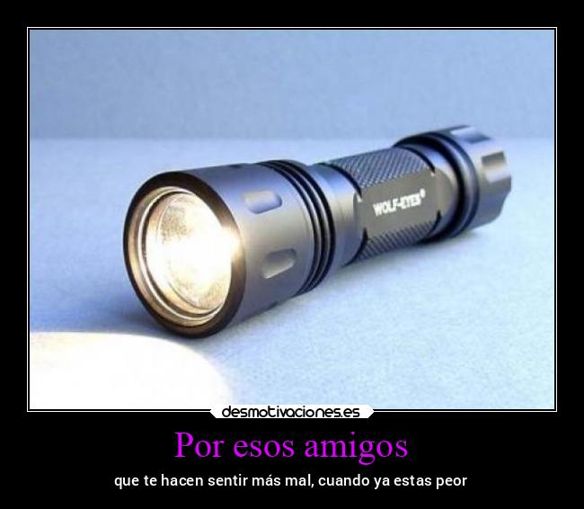 carteles amigos bogota animales amistad dolor desmotivaciones001 desmotivaciones