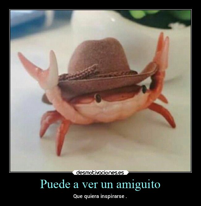 carteles amigos cangrejito desmoverano2021 desmotivaciones