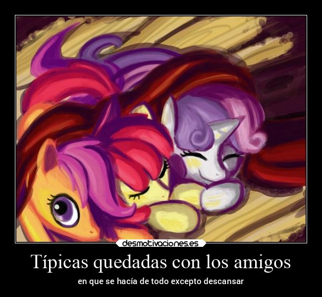 carteles amigos desmotivaciones animales 651 poniesftw2021 desmotivaciones