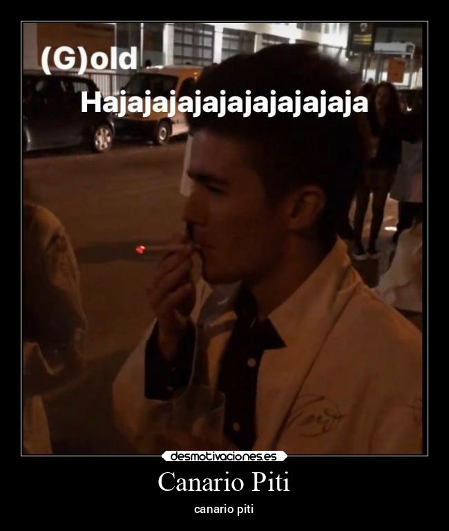 Canario Piti - canario piti