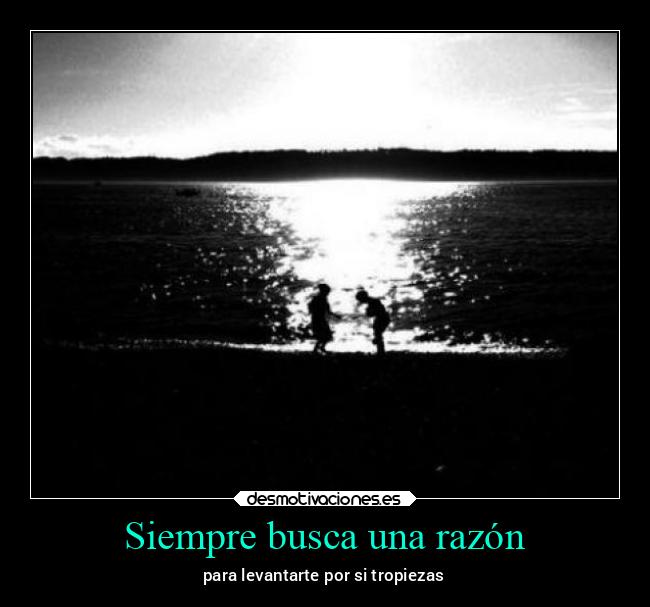 Siempre busca una razón - 