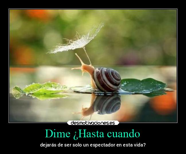 Dime ¿Hasta cuando - 