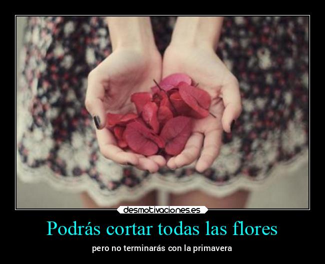 Podrás cortar todas las flores - 