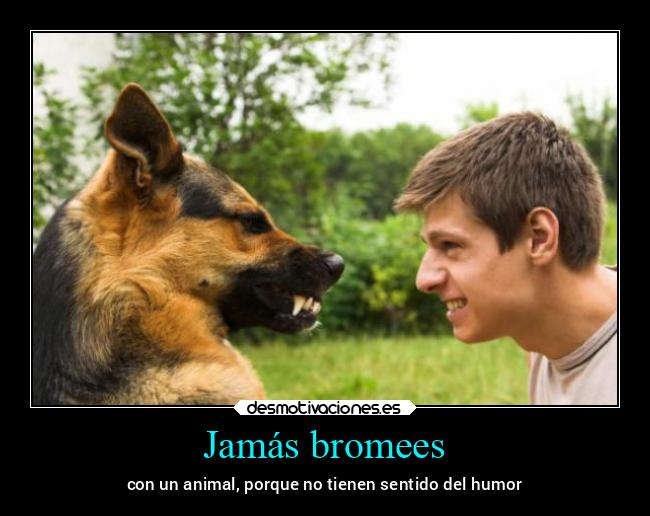 Jamás bromees - 