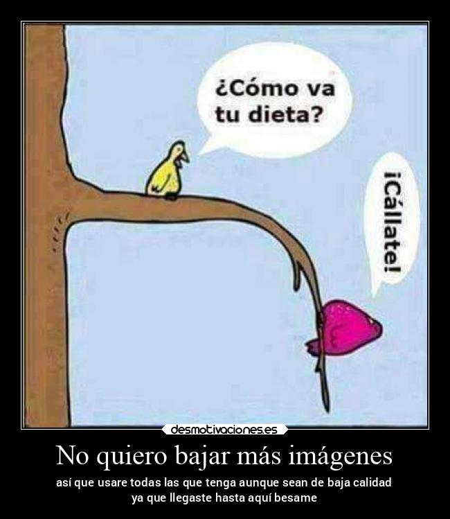 No quiero bajar más imágenes - así que usare todas las que tenga aunque sean de baja calidad
ya que llegaste hasta aquí besame