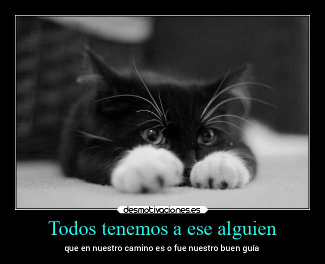 Todos tenemos a ese alguien - 