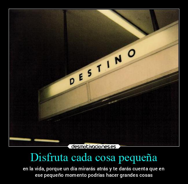 Disfruta cada cosa pequeña - 