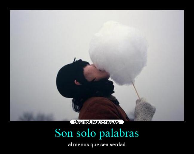 Son solo palabras -