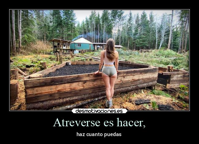 carteles confianza desmotivaciones