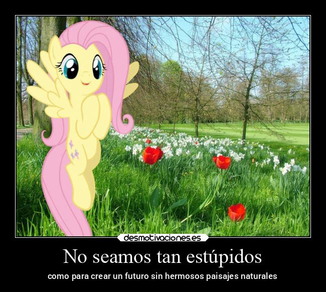 No seamos tan estúpidos -