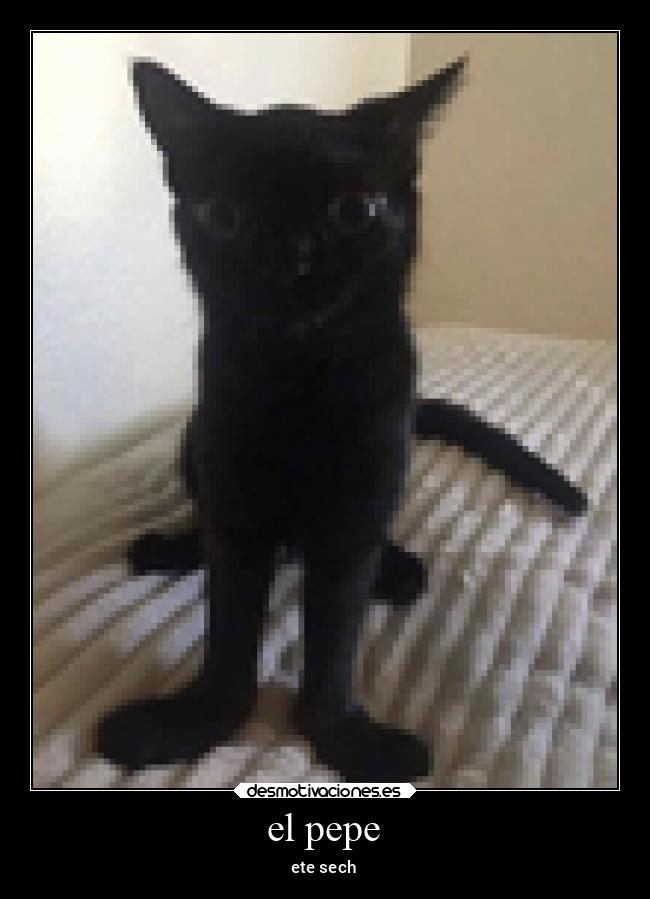 carteles dios desmotivaciones