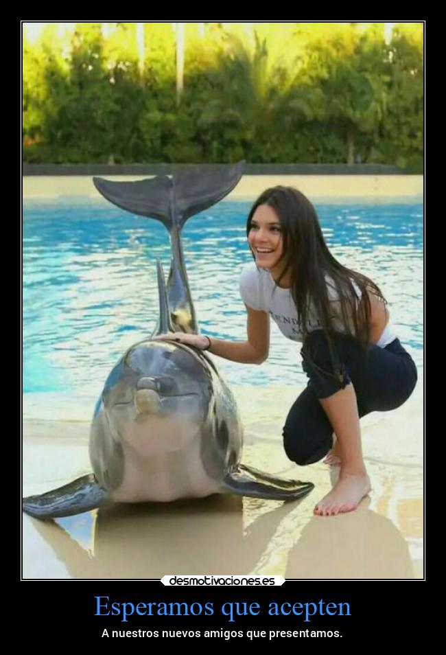 carteles esperanza amistad presentacion delfin fauna marina desmoverano2021 desmotivaciones