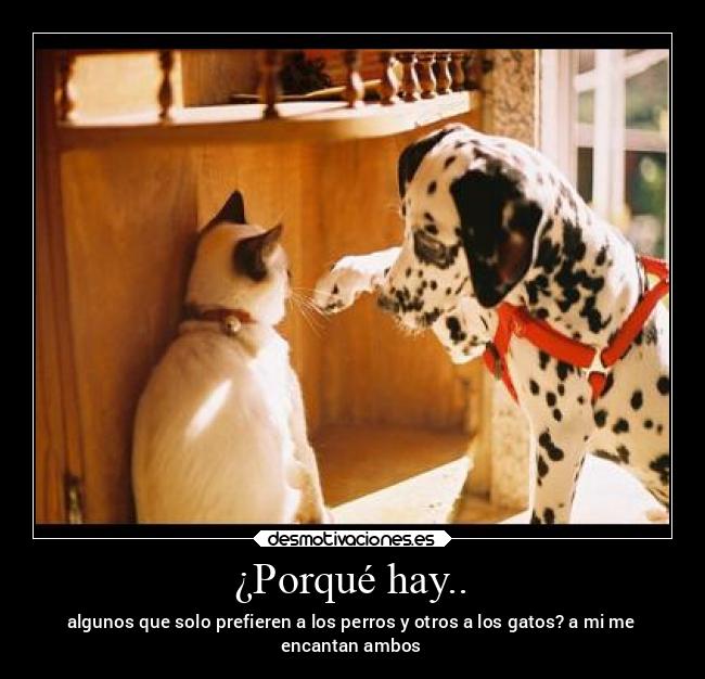 ¿Porqué hay.. - algunos que solo prefieren a los perros y otros a los gatos? a mi me
encantan ambos