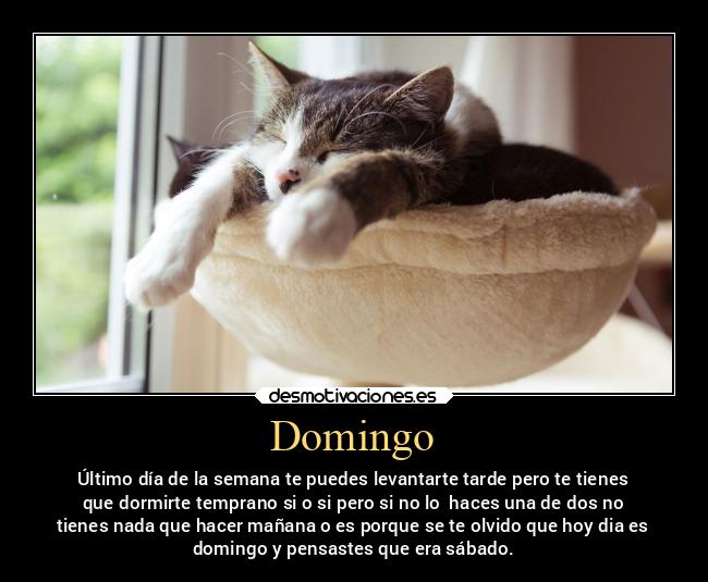Domingo - Último día de la semana te puedes levantarte tarde pero te tienes
que dormirte temprano si o si pero si no lo  haces una de dos no
tienes nada que hacer mañana o es porque se te olvido que hoy dia es
domingo y pensastes que era sábado.
