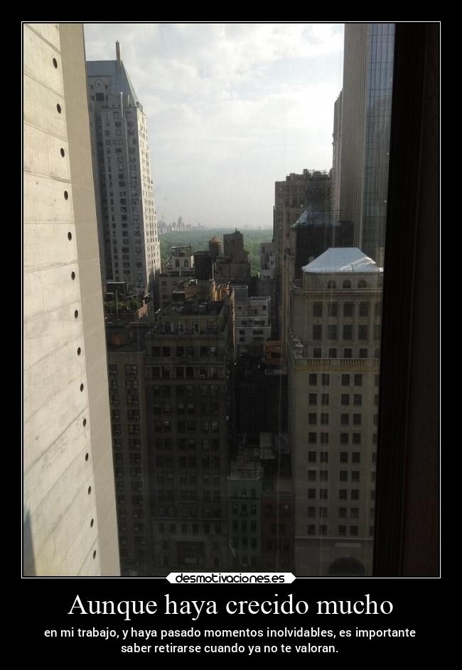 Aunque haya crecido mucho - en mi trabajo, y haya pasado momentos inolvidables, es importante
saber retirarse cuando ya no te valoran.