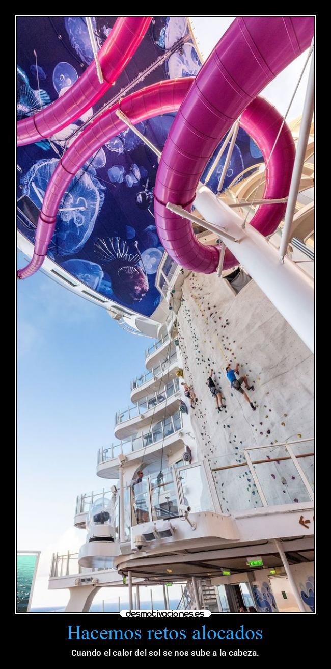 carteles locura verano alocados calor sol cabeza vacaciones desmoverano2021 desmotivaciones
