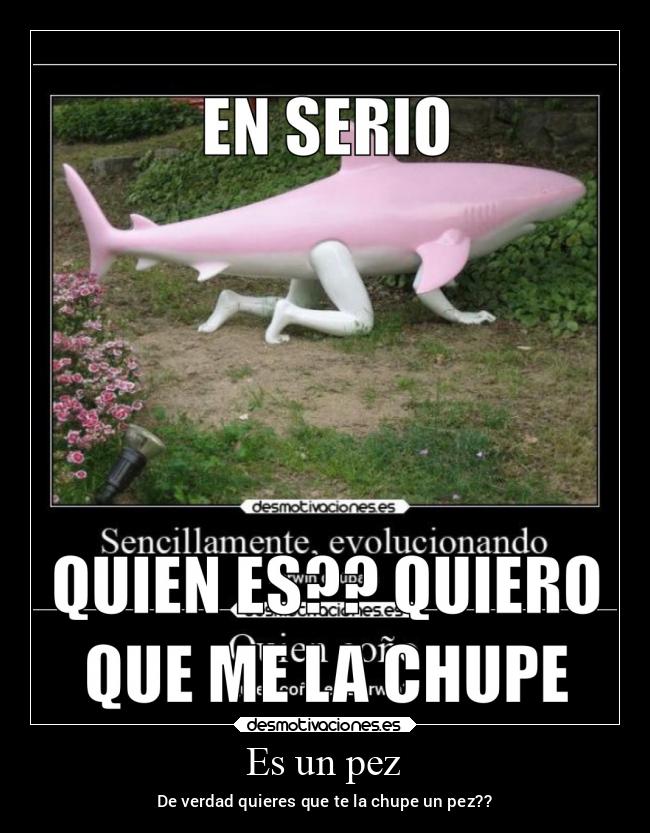 Es un pez - De verdad quieres que te la chupe un pez??