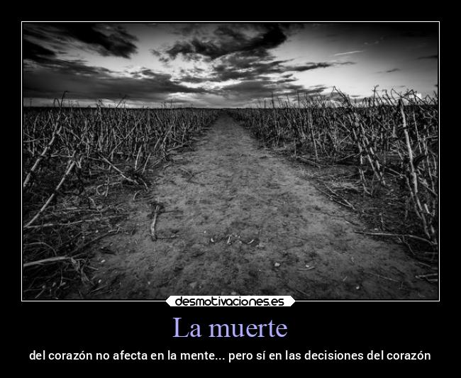 carteles muerte frases muerte corazon decisiones boreafujoshi desmotivaciones