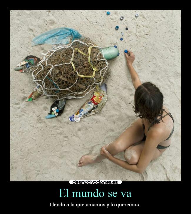 carteles mundo mundo animales destino desmoverano2021 desmotivaciones