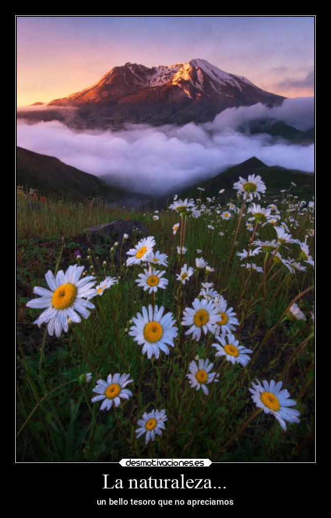 La naturaleza... - un bello tesoro que no apreciamos