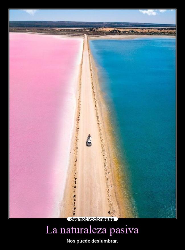 carteles naturaleza naturaleza pasivo poder deslumbrar noticias2021 playa mar desmoverano2021 desmotivaciones