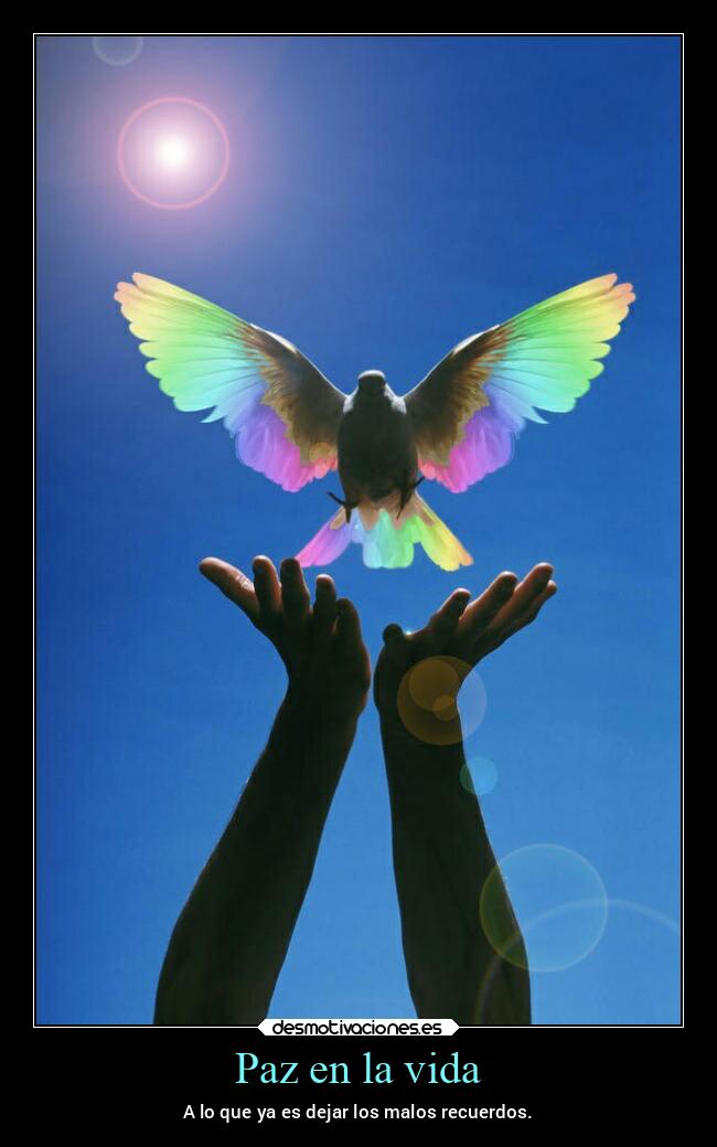 Paz en la vida - A lo que ya es dejar los malos recuerdos.