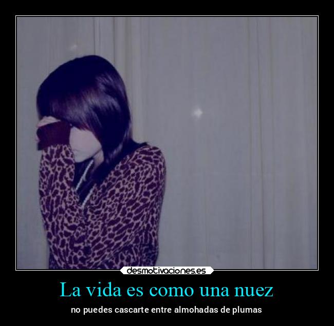 La vida es como una nuez -