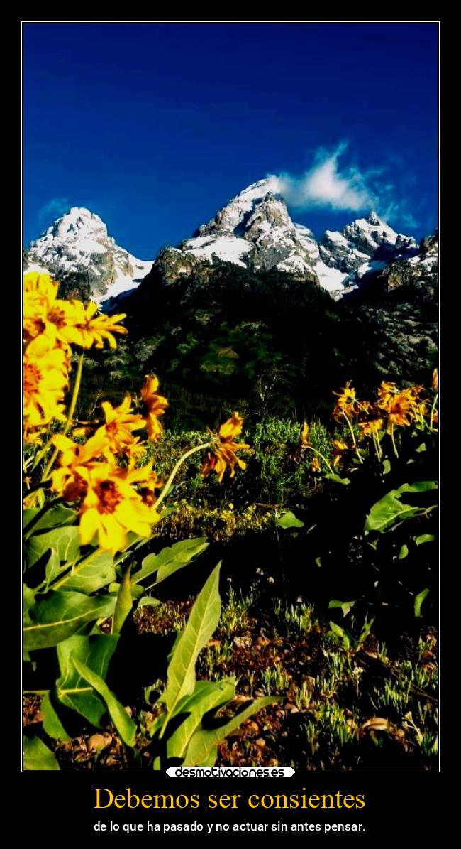 Debemos ser consientes - de lo que ha pasado y no actuar sin antes pensar.