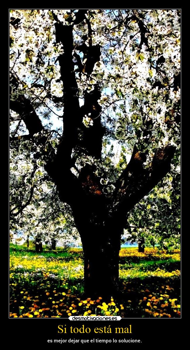 Si todo está mal - es mejor dejar que el tiempo lo solucione.