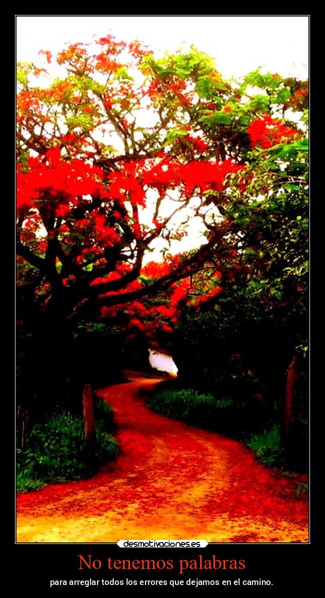 No tenemos palabras - para arreglar todos los errores que dejamos en el camino.