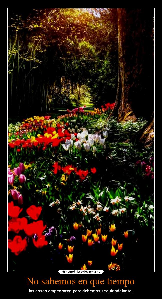 No sabemos en que tiempo - las cosas empeoraron pero debemos seguir adelante.